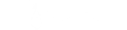 New Life Glendive